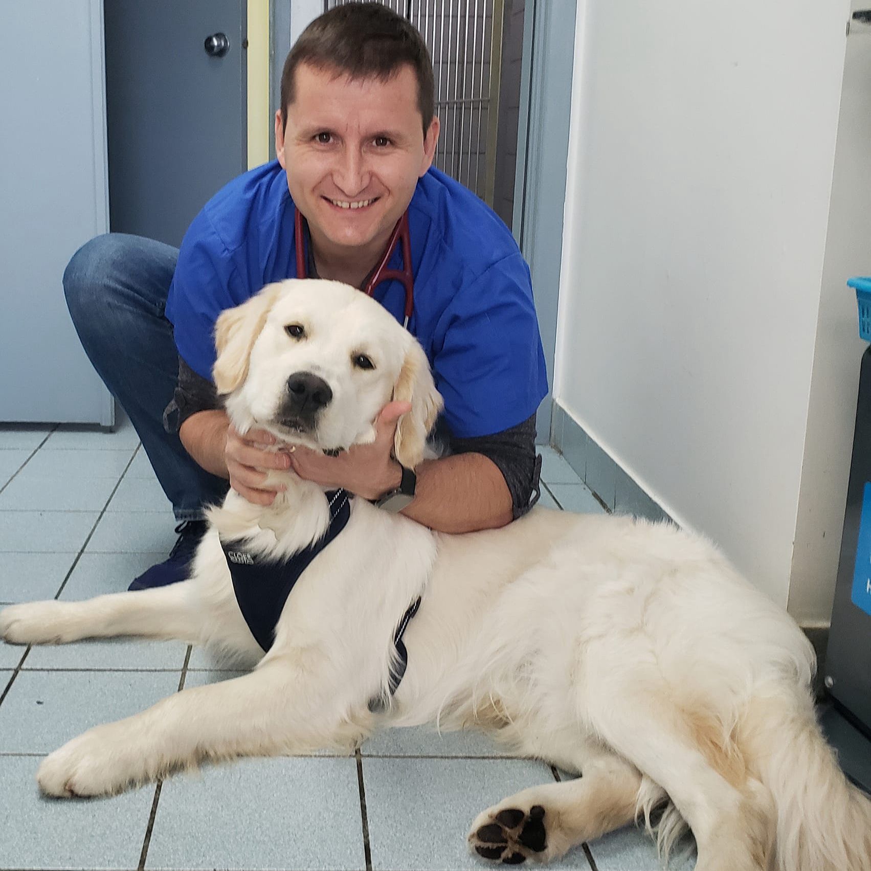 Dr Mihai R.  Sauciuc DVM